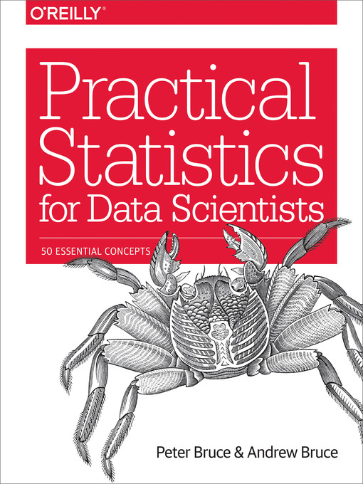 Title details for Practical Statistics for Data Scientists by Peter Bruce - Wait list
